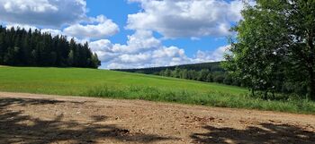 Prodej pozemku 5194 m², Hlavňovice