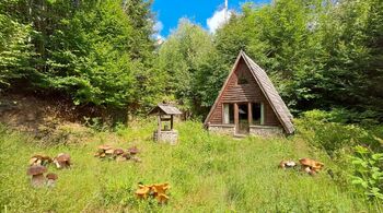 Prodej pozemku 5194 m², Hlavňovice