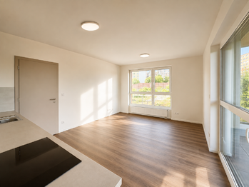 Pronájem bytu 2+kk v družstevním vlastnictví 48 m², Praha 9 - Černý Most