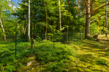 Prodej chaty / chalupy 250 m², Neustupov