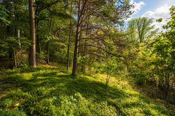 Prodej chaty / chalupy 250 m², Neustupov