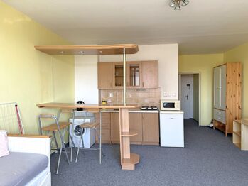 Pronájem bytu 1+kk v osobním vlastnictví 35 m², Plzeň