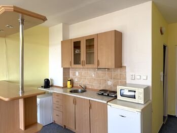 Pronájem bytu 1+kk v osobním vlastnictví 35 m², Plzeň