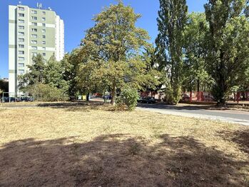Pronájem bytu 1+kk v osobním vlastnictví 35 m², Plzeň