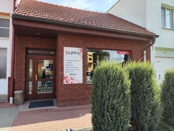 Pronájem obchodních prostor, Sokolnice