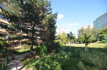 Pronájem bytu 2+kk v osobním vlastnictví 33 m², Praha 4 - Krč