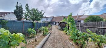 Pohled na dům ze zahrady - Prodej domu 81 m², Pustiměř