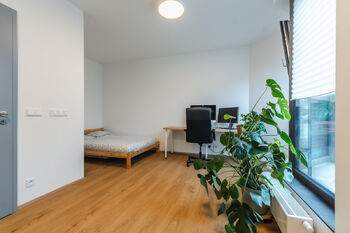 Pronájem bytu 1+kk v osobním vlastnictví 31 m², Praha 8 - Libeň