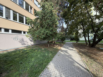 dům - Pronájem bytu 1+kk v osobním vlastnictví 27 m², Praha 8 - Karlín