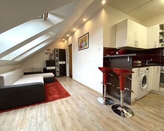 Prodej bytu 1+kk v osobním vlastnictví 27 m², Praha 5 - Radlice