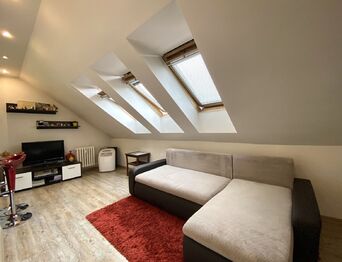Prodej bytu 1+kk v osobním vlastnictví 27 m², Praha 5 - Radlice