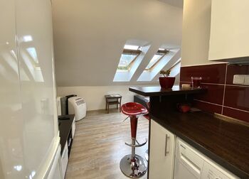 Prodej bytu 1+kk v osobním vlastnictví 27 m², Praha 5 - Radlice