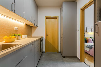 Prodej bytu 2+kk v osobním vlastnictví 47 m², Praha 7 - Holešovice