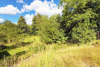 Pohled z p.p.č.235 na p.p.č. 232/1 - Prodej pozemku 3045 m², Mírová