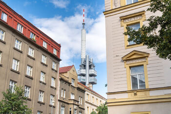 Pronájem bytu 1+kk v osobním vlastnictví 25 m², Praha 3 - Vinohrady