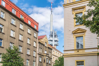 Pronájem bytu 1+kk v osobním vlastnictví 25 m², Praha 3 - Vinohrady