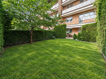 zahrada - Prodej bytu 2+kk v osobním vlastnictví 58 m², Dolní Břežany