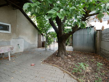 Pronájem domu 95 m², Drnholec