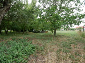 Pronájem domu 95 m², Drnholec