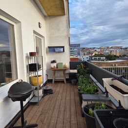 Terasa - Prodej bytu 1+kk v osobním vlastnictví 85 m², Praha 10 - Vršovice