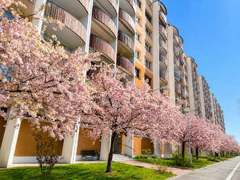 Pronájem bytu 2+1 v osobním vlastnictví 56 m², Brno
