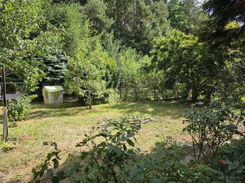 Prodej chaty / chalupy 37 m², Letovice