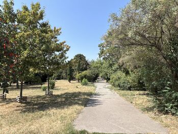 Park - Pronájem bytu 2+1 v osobním vlastnictví 52 m², Praha 10 - Vinohrady