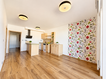 Pronájem bytu 2+kk v osobním vlastnictví 58 m², Plzeň