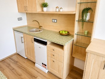 Pronájem bytu 2+kk v osobním vlastnictví 58 m², Plzeň
