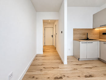 Pronájem bytu 1+1 v osobním vlastnictví 37 m², Karviná