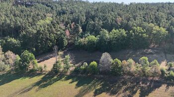 Prodej pozemku 5943 m², Mičovice