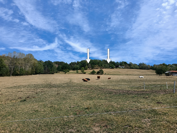 Prodej pozemku 5943 m², Mičovice