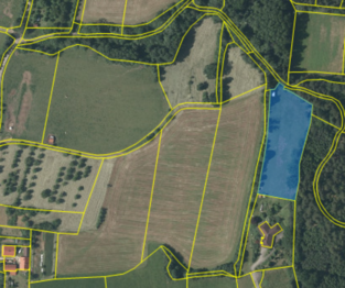 Prodej pozemku 5943 m², Mičovice