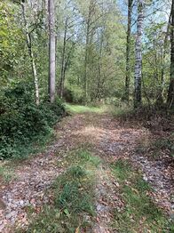 Příjezdová cesta (obecní) - Prodej pozemku 5943 m², Mičovice