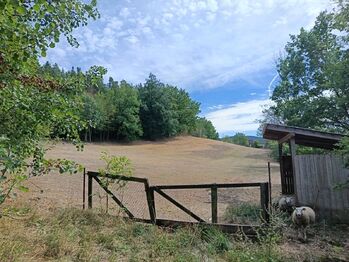 Pohled na vypásaný pozemek, vpravo přístřešek pro ovce - Prodej pozemku 5943 m², Mičovice