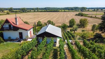 Prodej pozemku 1072 m², Tvrdonice