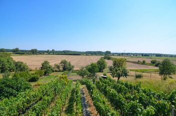 Prodej pozemku 1072 m², Tvrdonice