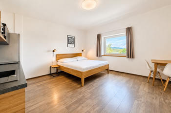 Prodej bytu 1+kk v osobním vlastnictví 28 m², Černá v Pošumaví