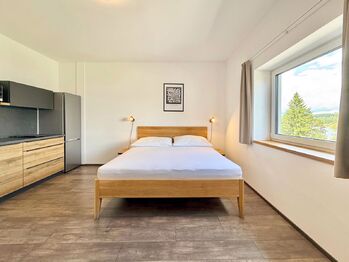Prodej bytu 1+kk v osobním vlastnictví 28 m², Černá v Pošumaví