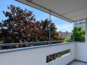 Pronájem bytu 1+kk v osobním vlastnictví 30 m², Chomutov
