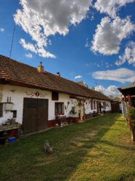 Prodej domu 280 m², Ševětín