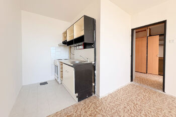 Prodej bytu 2+kk v družstevním vlastnictví 40 m², Litoměřice