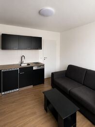Prodej bytu 1+kk v družstevním vlastnictví 20 m², České Budějovice