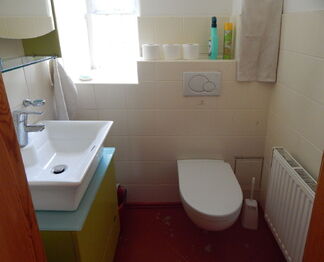 WC, přízemí - Prodej domu 160 m², Velemín