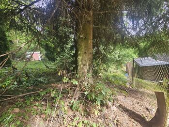 Prodej pozemku 852 m², Česká Třebová