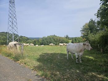 Prodej pozemku 852 m², Česká Třebová