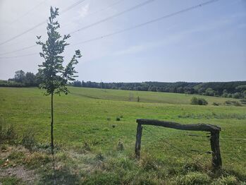 Prodej pozemku 852 m², Česká Třebová