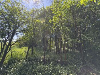 Prodej pozemku 887 m², Dolní Třebonín
