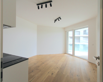 obývací pokoje vstupem na lod - Pronájem bytu 1+kk v osobním vlastnictví 34 m², Praha 10 - Strašnice