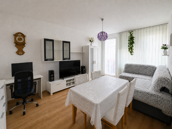 Prodej bytu 2+1 v družstevním vlastnictví 59 m², Chomutov